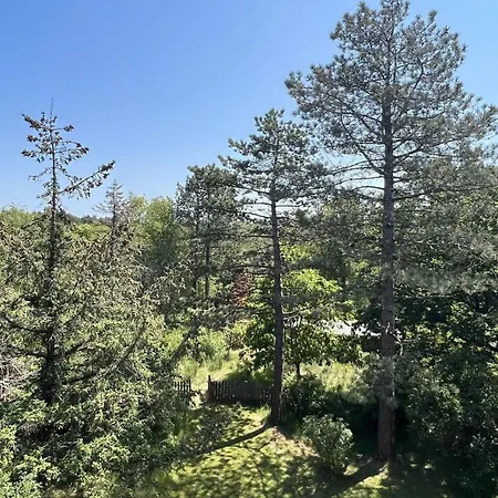 Haus-pellworm-whg-15 Apartament *